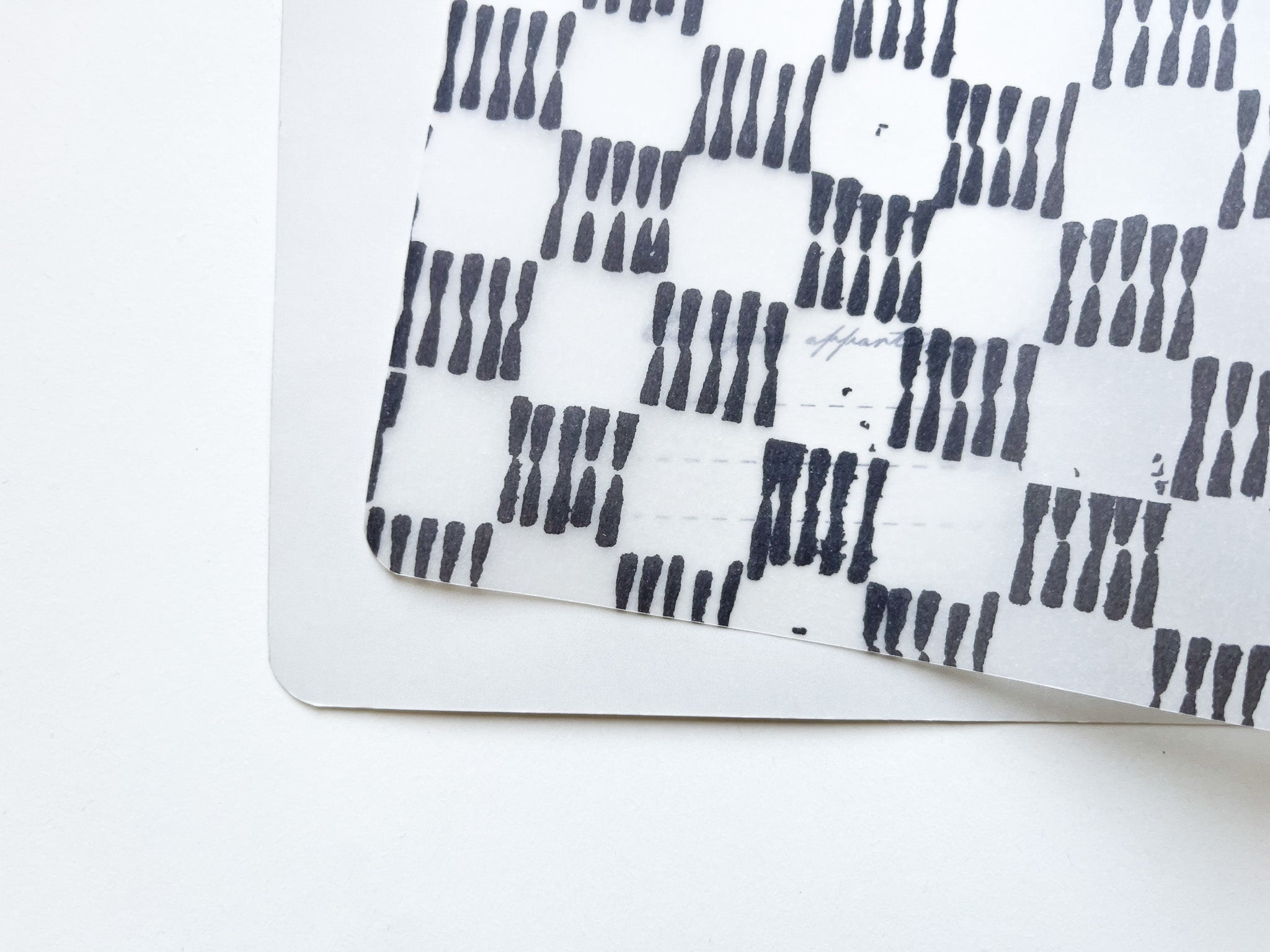 Carnet de notes A5 • Le Tambour Parlant