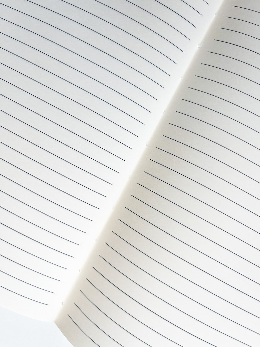 Carnet de notes A5 • Fleur de calebasse