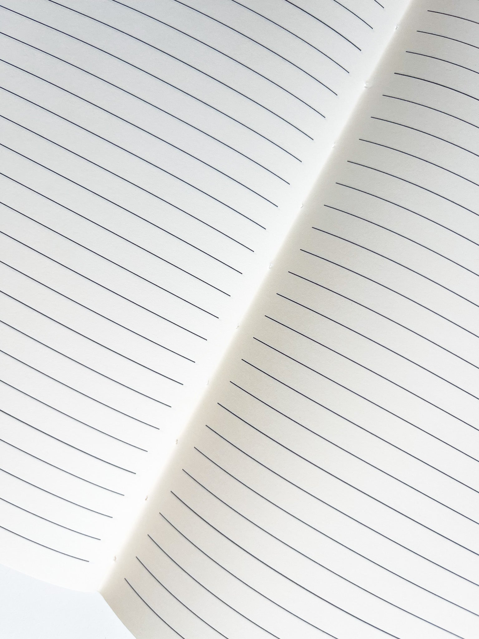 Carnet de notes A5 • Pas de chameaux